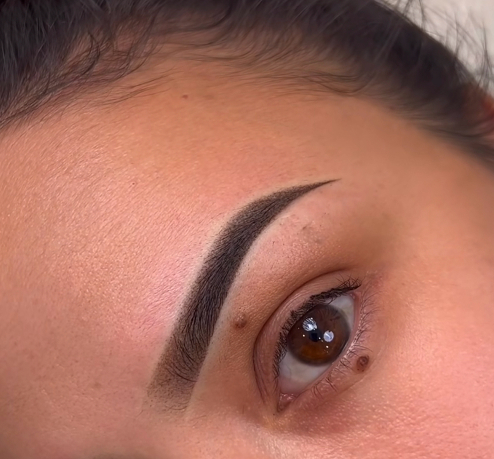 Nano Hairstroke Brow Artistry by Lynn Do